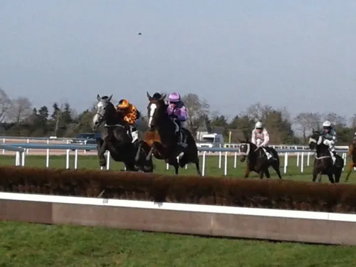 Hippisme : nos préférés pour ce samedi 16 octobre